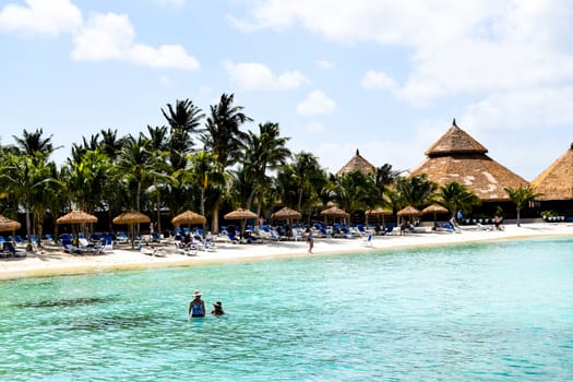 Aruba, Renaissance Island, Caribbean Sea. Sunny beach with white sand, coconut palm trees and turquoise sea. Summer vacation, tropical beach and pink flamingos