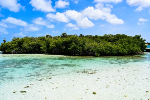 Aruba, Renaissance Island, Caribbean Sea. Sunny beach with white sand, coconut palm trees and turquoise sea. Summer vacation, tropical beach and pink flamingos