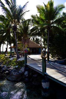 Aruba, Renaissance Island, Caribbean Sea. Sunny beach with white sand, coconut palm trees and turquoise sea. Summer vacation, tropical beach and pink flamingos