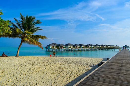 Sunny beach with white sand, coconut palm trees and turquoise sea. Summer vacation and tropical beach concept. Overwater at Maldive Island resort.