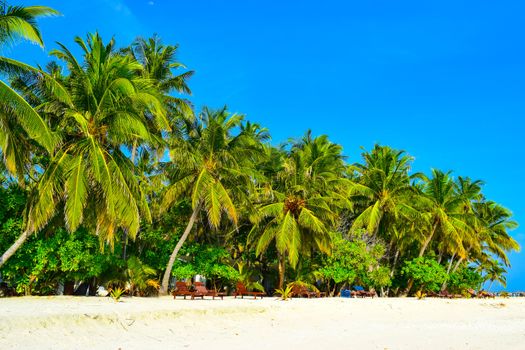 Sunny beach with white sand, coconut palm trees and turquoise sea. Summer vacation and tropical beach concept. Overwater at Maldive Island resort.