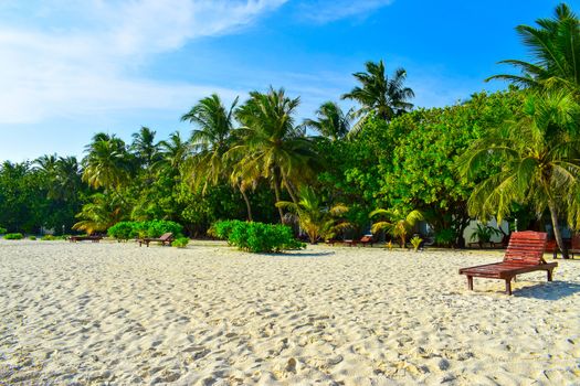 Sunny beach with white sand, coconut palm trees and turquoise sea. Summer vacation and tropical beach concept. Overwater at Maldive Island resort.