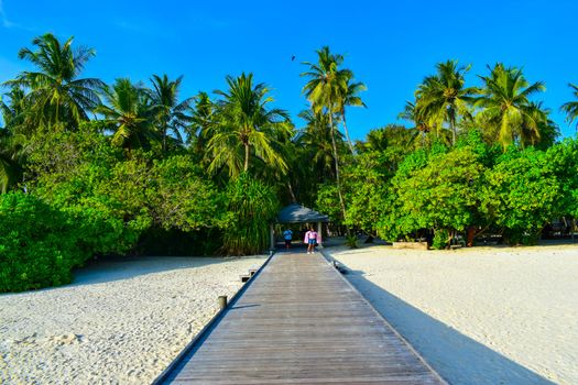 Sunny beach with white sand, coconut palm trees and turquoise sea. Summer vacation and tropical beach concept. Overwater at Maldive Island resort.