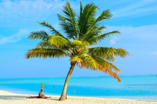 Sunny beach with white sand, coconut palm trees and turquoise sea. Summer vacation and tropical beach concept. Overwater at Maldive Island resort.