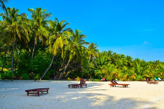 Sunny beach with white sand, coconut palm trees and turquoise sea. Summer vacation and tropical beach concept. Overwater at Maldive Island resort.