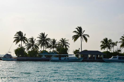 Sunny beach with white sand, coconut palm trees and turquoise sea. Summer vacation and tropical beach concept. Overwater at Maldive Island resort.