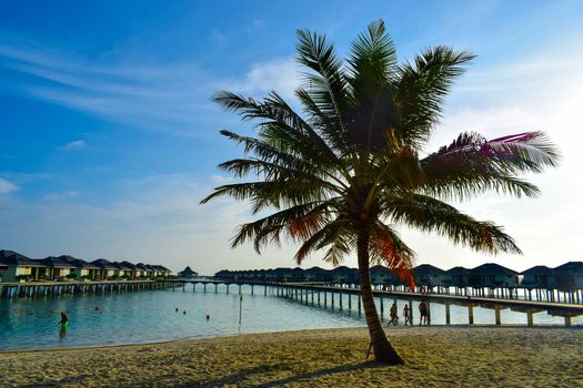 Sunny beach with white sand, coconut palm trees and turquoise sea. Summer vacation and tropical beach concept. Overwater at Maldive Island resort.