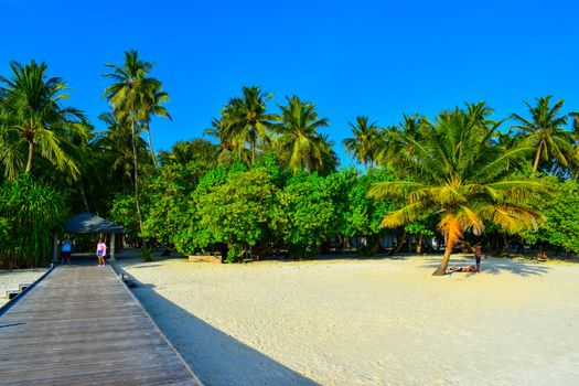 Sunny beach with white sand, coconut palm trees and turquoise sea. Summer vacation and tropical beach concept. Overwater at Maldive Island resort.