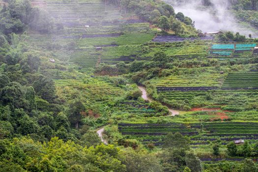 Landscape of agricultural areas of people in Fang district, Chiang Mai, Thailand from the top of the mountain.