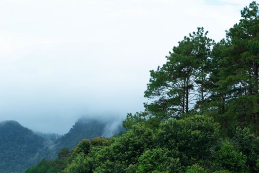 Landscape of complex mountain with fog in northern of Thailand.