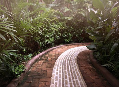 The pathway in the garden.