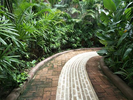 The pathway in the garden.