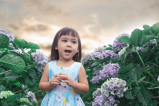 Happy Little Asian child girl having fun to play in hydrangea garden on summer day.
