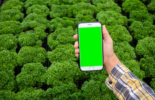 Farmer photographing seedling plants in greenhouse, using mobile phone. Technology with agriculture concept.