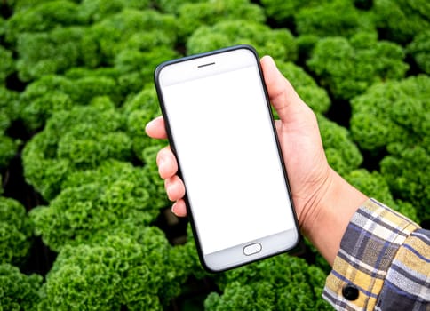 Farmer photographing seedling plants in greenhouse, using mobile phone. Technology with agriculture concept.