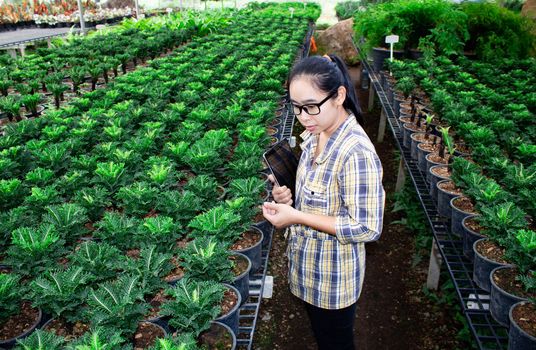 Gardeners young woman working in greenhouse with tablet in her hand. Technological and agricultural concepts.