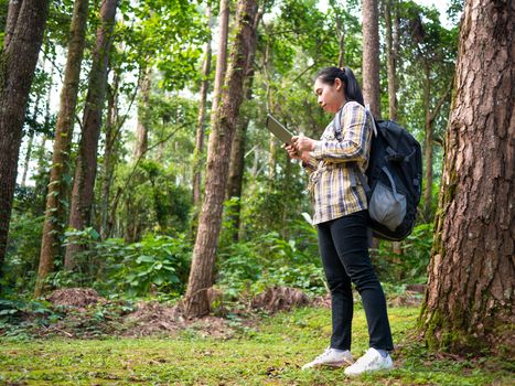 Young woman traveler searches GPS coordinates on tablet in forest on summer vacations day. Lifestyle hiking concept.