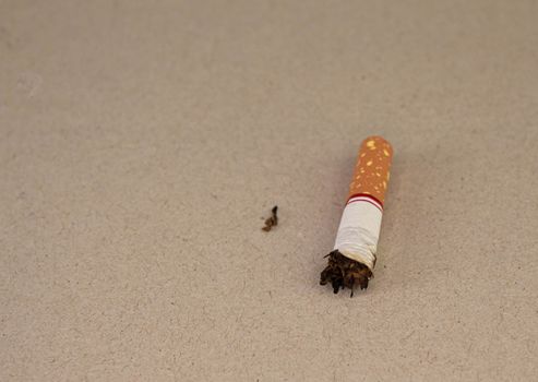 World No Tobacco Day; Smoking cigarettes and laying them on the floor with space for text.