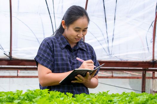 Portrait of a farmer Asian woman at work in greenhouse with notebook examines the growing seedlings on the farm and diseases in greenhouse.