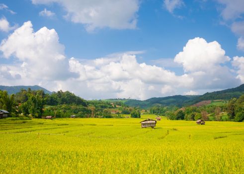 Landscape of agricultural areas of people in Chom Thong district, Chiang Mai, Thailand from the top of the mountain in the morning.