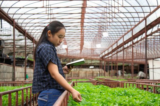 Portrait of a farmer Asian woman at work in greenhouse with notebook examines the growing salad seedlings on the farm and diseases in greenhouse.