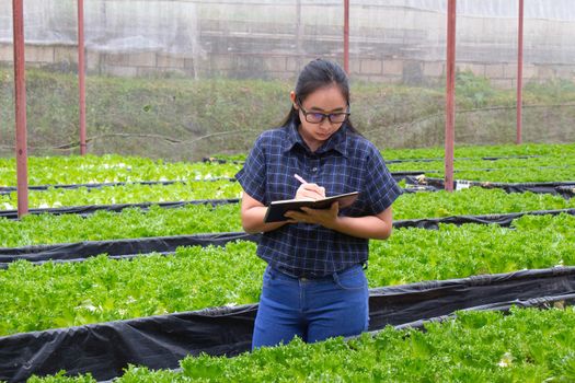 Portrait of a farmer Asian woman at work in greenhouse with notebook examines the growing seedlings on the farm and diseases in greenhouse.