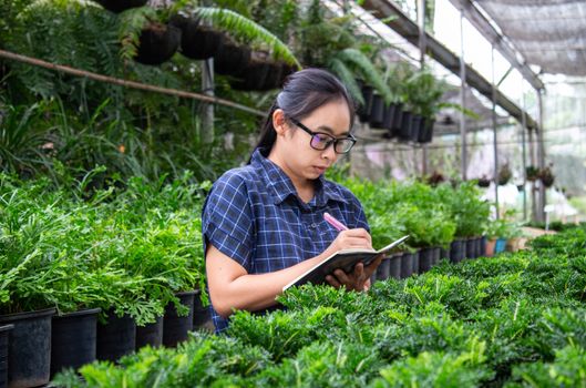 Portrait of a farmer Asian woman at work in greenhouse with notebook examines the growing seedlings on the farm and diseases in greenhouse.