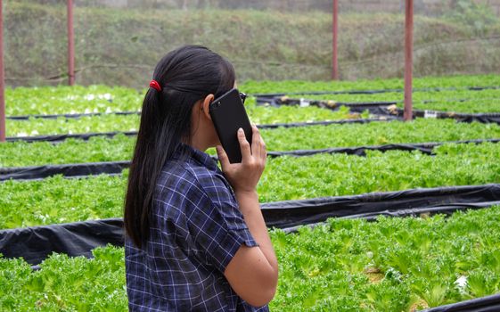 Portrait of a farmer Asian woman talking on phone while work in greenhouse of the growing salad seedlings on the farm.