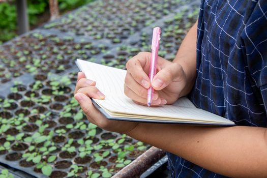 Portrait of a farmer Asian woman at work in greenhouse with notebook examines the growing seedlings on the farm and diseases in greenhouse.