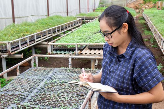 Portrait of a farmer Asian woman at work in greenhouse with notebook examines the growing seedlings on the farm and diseases in greenhouse.