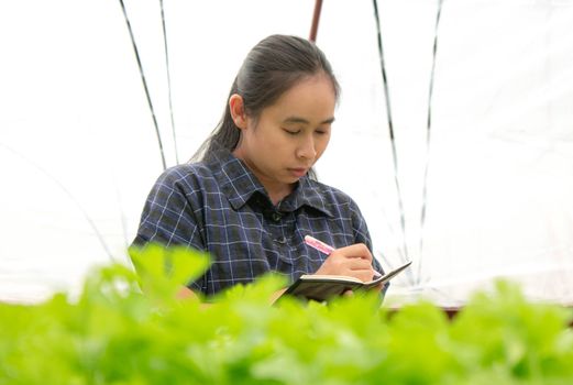 Portrait of a farmer Asian woman at work in greenhouse with notebook examines the growing seedlings on the farm and diseases in greenhouse.