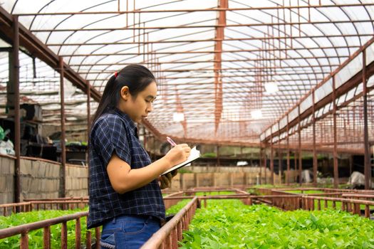 Portrait of a farmer Asian woman at work in greenhouse with notebook examines the growing salad seedlings on the farm and diseases in greenhouse.