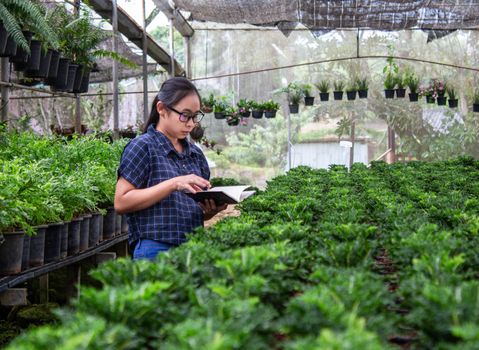 Portrait of a farmer Asian woman at work in greenhouse with notebook examines the growing seedlings on the farm and diseases in greenhouse.