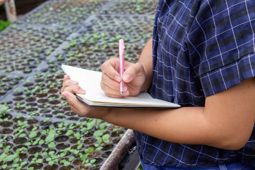 Portrait of a farmer Asian woman at work in greenhouse with notebook examines the growing seedlings on the farm and diseases in greenhouse.