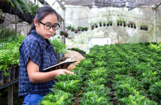 Portrait of a farmer Asian woman at work in greenhouse with notebook examines the growing seedlings on the farm and diseases in greenhouse.