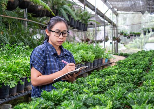 Portrait of a farmer Asian woman at work in greenhouse with notebook examines the growing seedlings on the farm and diseases in greenhouse.