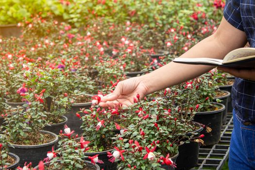 Portrait of Gardener Asian woman at work in greenhouse with notebook examines the growing flowers on the farm and diseases in greenhouse.