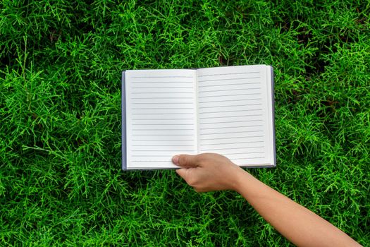 Woman' hands holding the blank notebook on against background of summer green park.