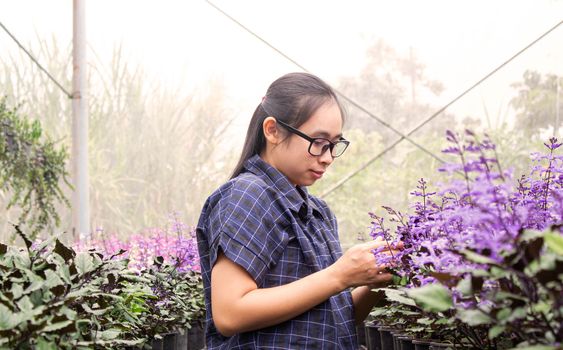 Asian gardeners women searching data of diseases and growing flowers in greenhouse.