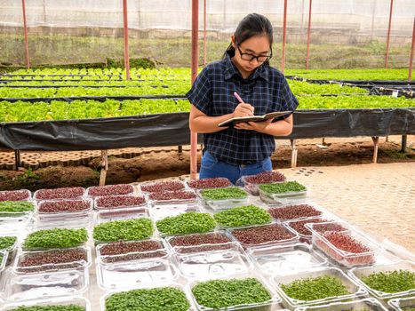 Asian woman gardener work in greenhouse with notebook check the neatness of the packaging of plant seedlings before selling.