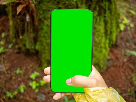 Close-up of hand holding smartphone isolated on nature background with space for your text.