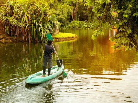 The back of the worker are rowing to feed the animals in the zoo.