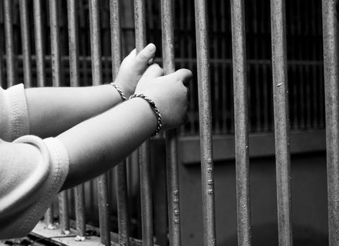 Close up hands of child catch the animal cage in the zoo. Dangerous  in children.