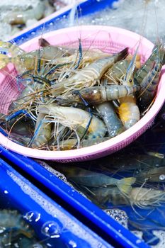 Fresh Prawn at seafood market