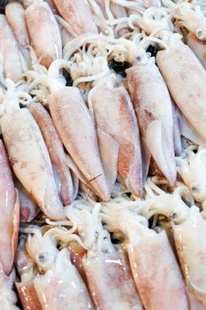 Fresh Squid in The Local Market