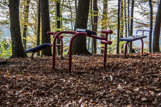Children's playground with sports equipment in the deciduous forest