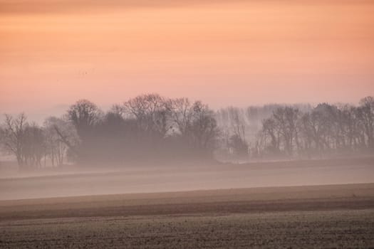 View of foggy winter countryside in Normandy