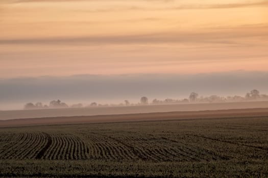 View of foggy winter countryside in Normandy