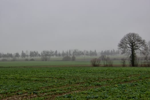 Countryside in Normandy