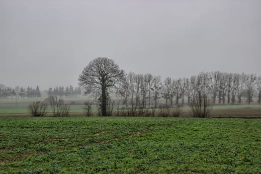 Countryside in Normandy